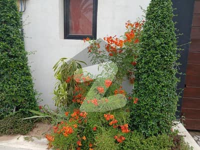 ڈی ایچ اے فیز 8 - زون ای ڈی ایچ اے فیز 8,ڈی ایچ اے ڈیفینس,کراچی میں 1 کنال رہائشی پلاٹ 6.8 کروڑ میں برائے فروخت۔