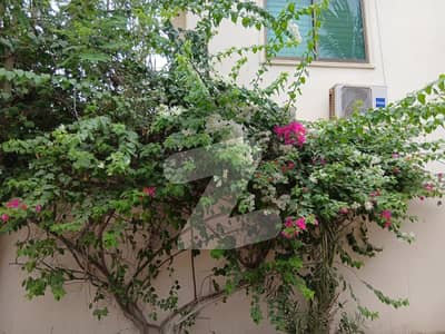 666 square yards residential plot available for sale in DHA Phase 8, Zone E, ideally located on 26th Street off Shajjar and Bilal, near Noor Masjid, with an east open frontage ensuring refreshing morning light and excellent airflow