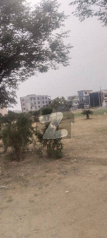 6 Marla Category Option