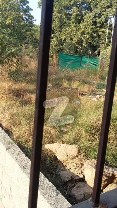 F-11/4 POLT CORNER 50+90 BACK OPEN EXTRA LAND FOR SALE