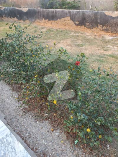 West open plot West open plot