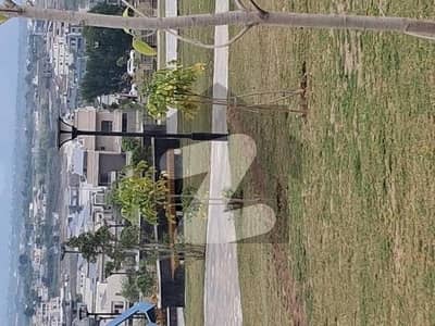 ڈی ایچ اے فیز 5 - سیکٹر ایف ڈی ایچ اے ڈیفینس فیز 5,ڈی ایچ اے ڈیفینس,اسلام آباد میں 1 کنال رہائشی پلاٹ 3.05 کروڑ میں برائے فروخت۔ ڈی ایچ اے فیز 5 - سیکٹر ایف ڈی ایچ اے ڈیفینس فیز 5,ڈی ایچ اے ڈیفینس,اسلام آباد میں 1 کنال رہائشی پلاٹ 3.05 کروڑ میں برائے فروخت۔