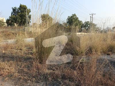 Beautiful Location , Readily Available Next To School