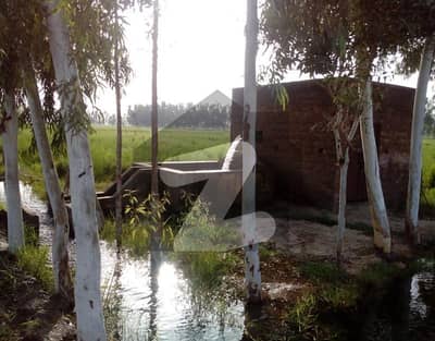 935 acre Agricultural Land available for Sale