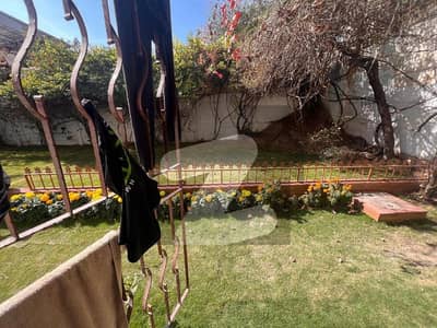 Beautiful house investor prize