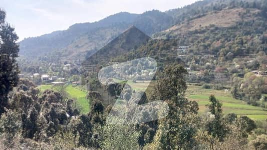 پیر سوہاوا اسلام آباد میں 7 مرلہ رہائشی پلاٹ 1.75 کروڑ میں برائے فروخت۔