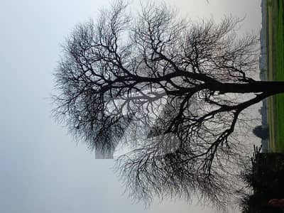 اے ڈبلیو ٹی فیز 2 اے ڈبلیو ٹی آرمی ویلفیئر ٹرسٹ,رائیونڈ روڈ,لاہور میں 10 مرلہ رہائشی پلاٹ 1.25 کروڑ میں برائے فروخت۔