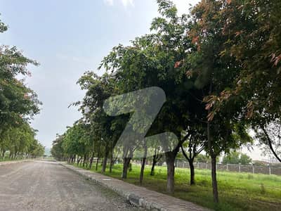 گلبرگ گرینز ۔ بلاک ڈی گلبرگ گرینز,گلبرگ,اسلام آباد میں 5 کنال رہائشی پلاٹ 4.7 کروڑ میں برائے فروخت۔