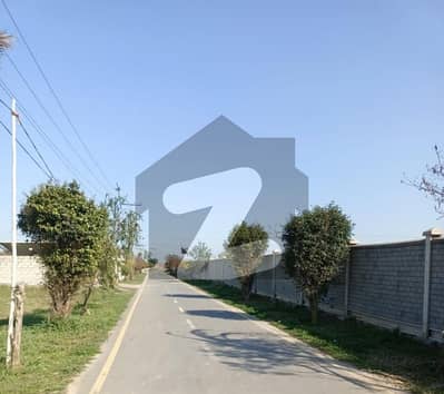 Farmhouse Plot For Sale In IVY Farms - 55 Lac Per Kanal | Peaceful Living