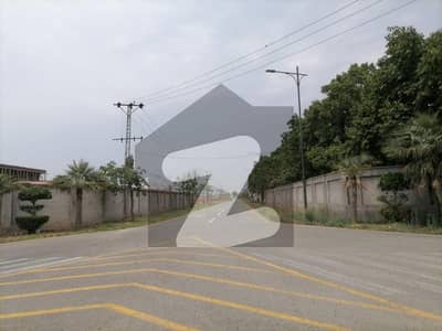 Looking For A Residential Plot In Farmers Farms Lahore