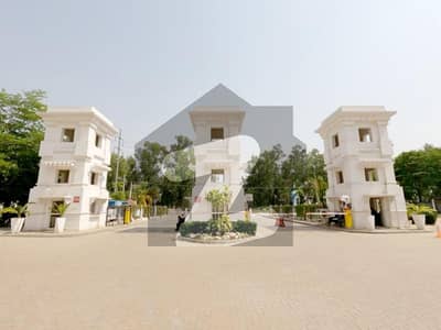 A Spacious 565 Square Feet Flat In The Spring Apartment Homes