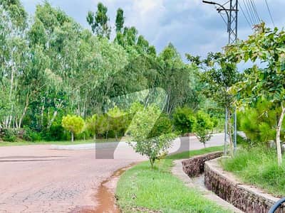 ناول فارمز ہاؤسنگ سکیم اسلام آباد میں 5 کنال رہائشی پلاٹ 5.5 کروڑ میں برائے فروخت۔