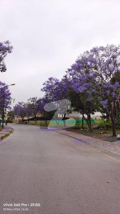 Sector C 1 Kanal Margalla Facing Solid Land