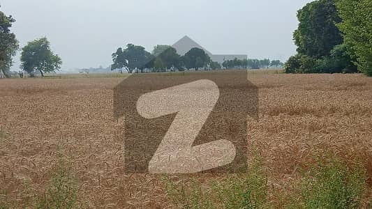 100 Acre Land For Sale Near Ryk