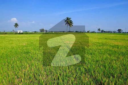 4 Acre Agriculture Land Is Available For Sale On National Highway Gujjo Canal Karachi