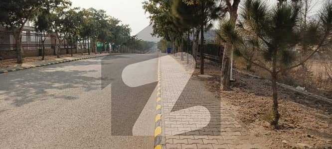 گلبرگ گرینز ۔ بلاک ڈی گلبرگ گرینز,گلبرگ,اسلام آباد میں 5 کنال رہائشی پلاٹ 4.55 کروڑ میں برائے فروخت۔