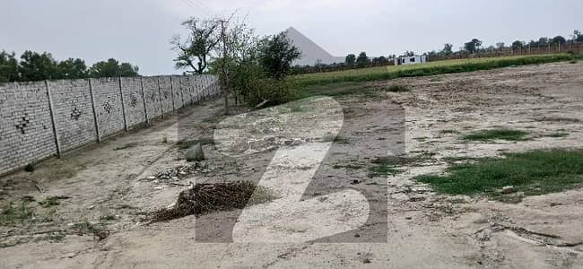 Main Barki Road Dairy Farm with complete boundary wall All facilities available Electricity Transfarmer installed