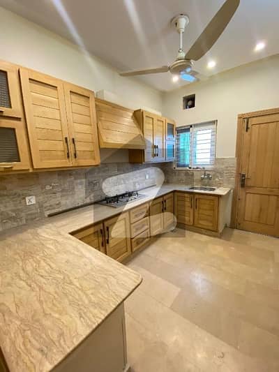 Beautiful House For Rent