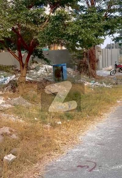 One Kanal Prime Location Urgent Sale