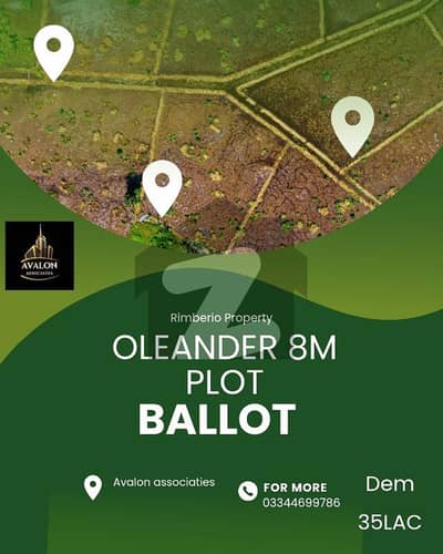 oleander solid land area plot