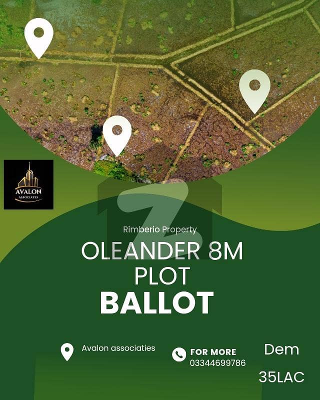 oleander solid land area plot oleander solid land area plot