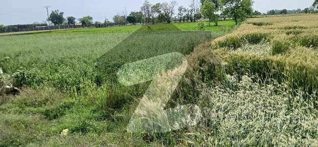 prime Location Agricultural Land For sale Carpet Road Front 10 to 15 minutes Drive DHA phase 7 prime Location Agricultural Land For sale Carpet Road Front 10 to 15 minutes Drive DHA phase 7