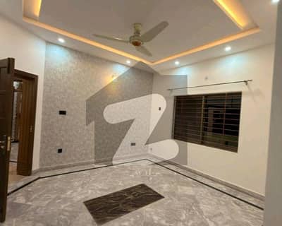 جی ۔ 14 اسلام آباد میں 6 کمروں کا 10 مرلہ مکان 3.0 لاکھ میں کرایہ پر دستیاب ہے۔