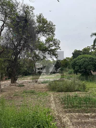 کینٹ لاہور میں 6 کنال رہائشی پلاٹ 79.0 کروڑ میں برائے فروخت۔