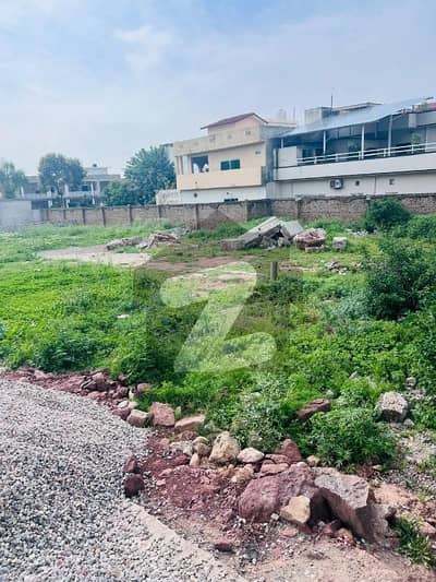 بنی گالہ اسلام آباد میں 1 کنال رہائشی پلاٹ 2.64 کروڑ میں برائے فروخت۔