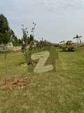 2 2