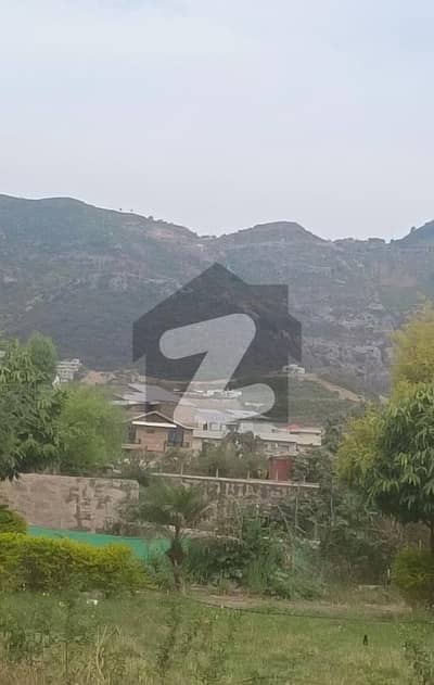 The Beautiful Plot Available For Sale In Sector D12