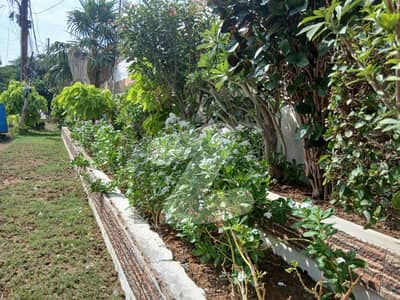 500 sq. yards residential plot available for sale on 21st Street, off Khayaban-e-Shajar, Zone-C, DHA Phase 8, Karachi