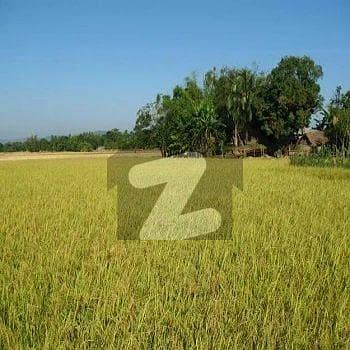 Agricultural Land Available for sale