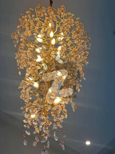 1 Kanal Brand New Designer House Available For Rent In DHA Phase 2