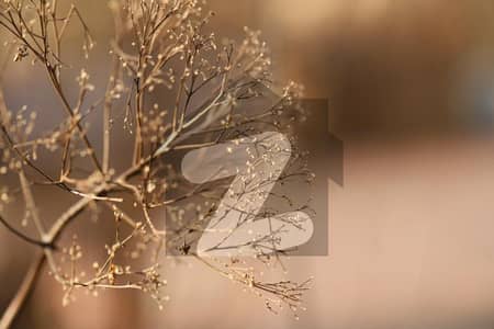 ڈی ایچ اے 11 رہبر فیز 4 ڈی ایچ اے 11 رہبر,لاہور میں 5 مرلہ رہائشی پلاٹ 60.0 لاکھ میں برائے فروخت۔ ڈی ایچ اے 11 رہبر فیز 4 ڈی ایچ اے 11 رہبر,لاہور میں 5 مرلہ رہائشی پلاٹ 60.0 لاکھ میں برائے فروخت۔