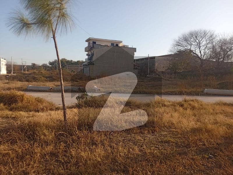 PLOT AVAILABLE FOR SALE IN I 11 PLOT AVAILABLE FOR SALE IN I 11