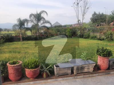 Spacious open basement portion