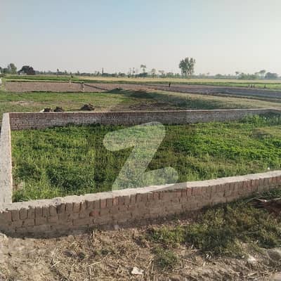 مُصطفی آباد للیانی لاہور میں 1 کنال زرعی زمین 40.0 لاکھ میں برائے فروخت۔