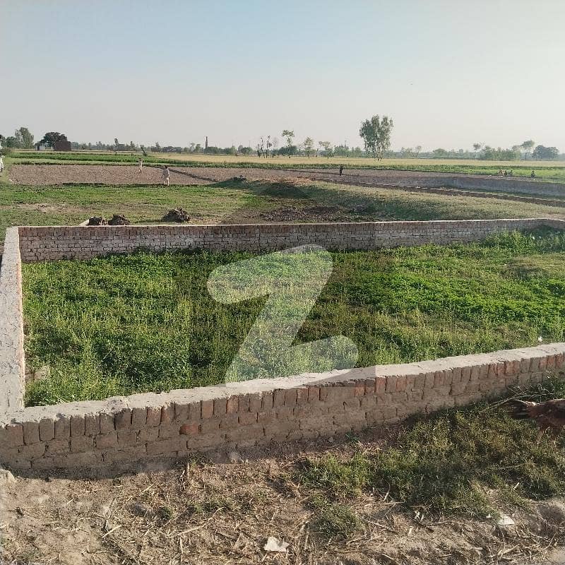 مُصطفی آباد للیانی لاہور میں 1 کنال زرعی زمین 40.0 لاکھ میں برائے فروخت۔ مُصطفی آباد للیانی لاہور میں 1 کنال زرعی زمین 40.0 لاکھ میں برائے فروخت۔