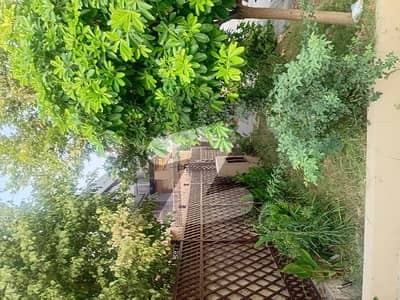 Beautiful Ground Portion Rent in F-11/3