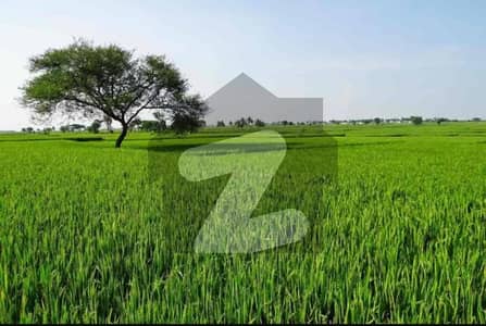 شیخوپورہ مُرِيدكے روڈ شیخوپورہ میں 56 کنال زرعی زمین 5.0 کروڑ میں برائے فروخت۔