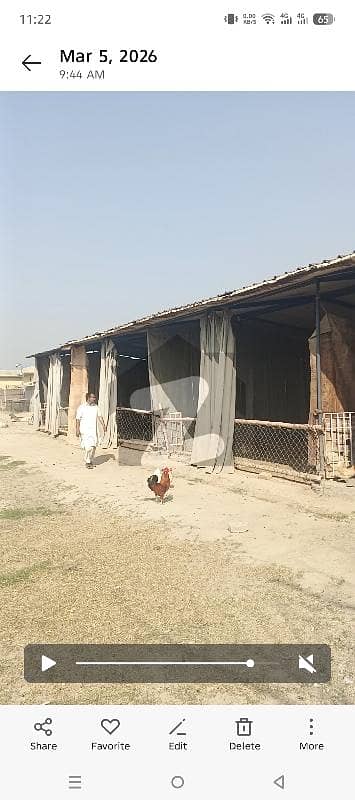 Cattle Farming Available