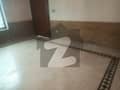 26 