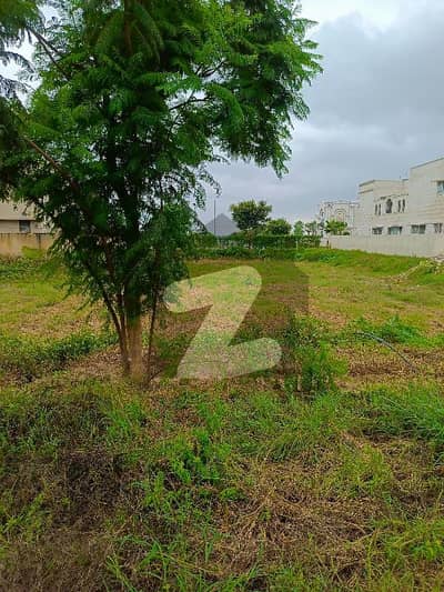 Two kanal commercial plot