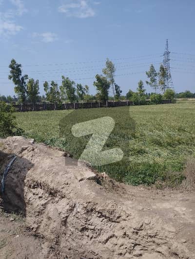 جلال پورہ لاہور میں 12 کنال زرعی زمین 15.81 کروڑ میں برائے فروخت۔