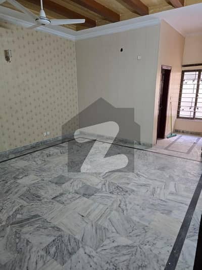 Neat And Clean Ground Portion For Rent In G-8/1