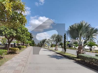 Top Location Near MacDonalds Round About