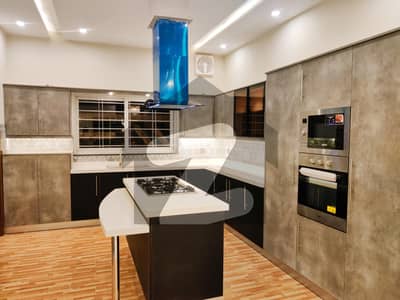 Brand New House For Rent Super Hot Location