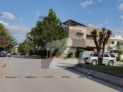 near macdonalds roundabout top location 3side corner near macdonalds roundabout top location 3side corner