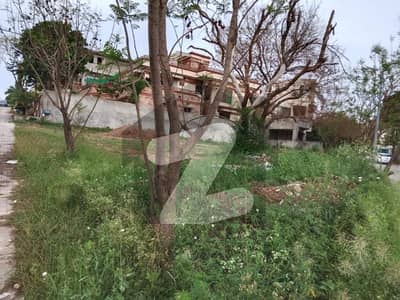 proper corner park facing street 7 sector b